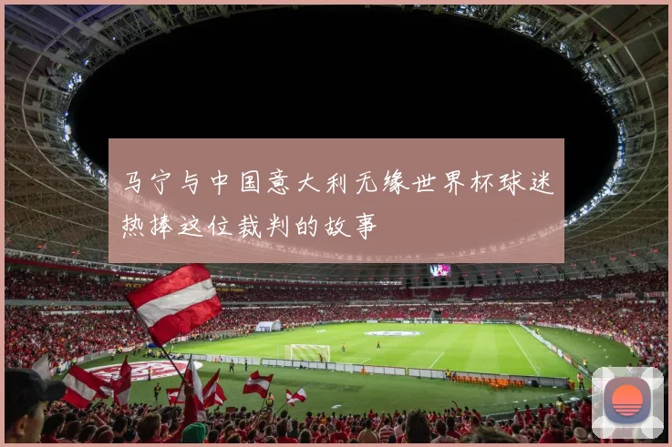 马宁与中国意大利无缘世界杯球迷热捧这位裁判的故事