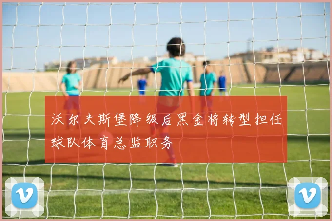 沃尔夫斯堡降级后黑金将转型担任球队体育总监职务