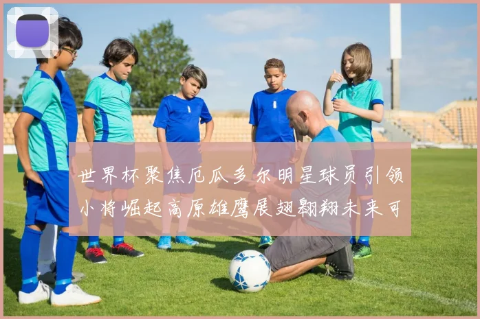 世界杯聚焦厄瓜多尔明星球员引领小将崛起高原雄鹰展翅翱翔未来可期